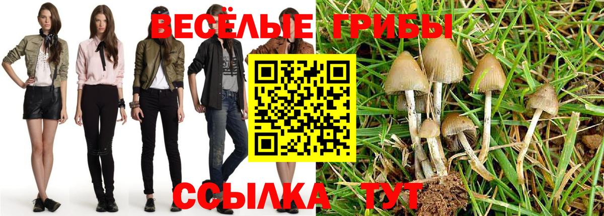 Галлюциногенные грибы Psilocybine cubensis Старая Купавна